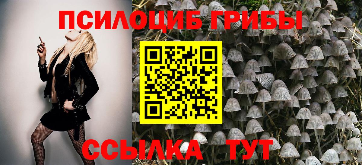 Псилоцибиновые грибы Cubensis  Вход с VPN  Корсаков  Псилоцибиновые грибы Cubensis 
