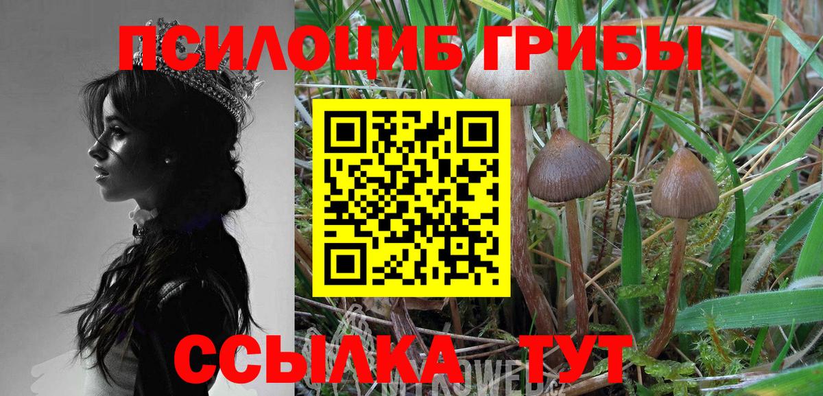 Псилоцибиновые грибы GOLDEN TEACHER Корсаков